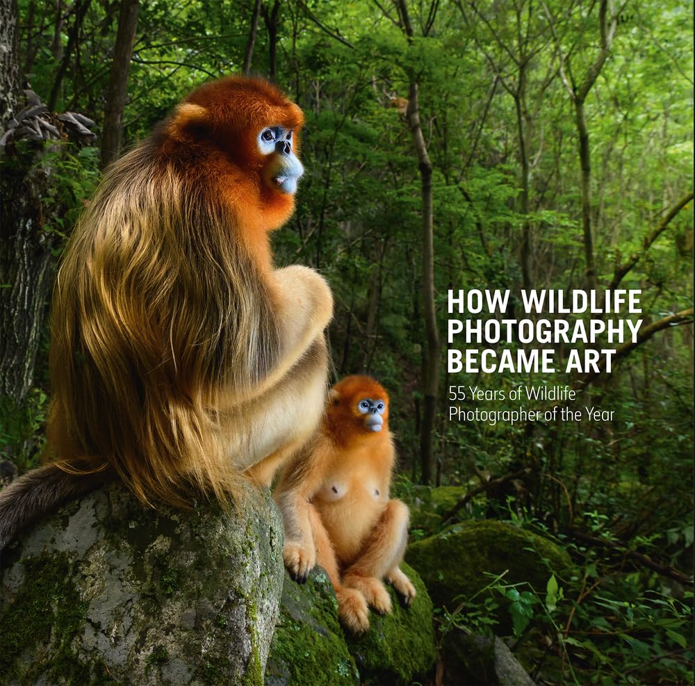 How Wildlife Photography Became Art: 55 Years of Wildlife Photographer of the...