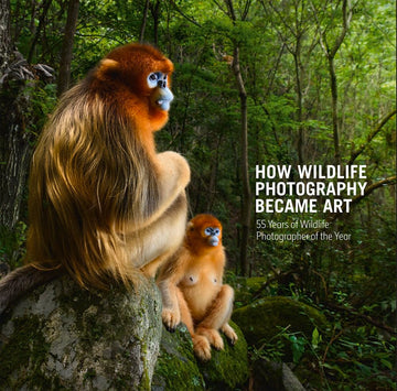 How Wildlife Photography Became Art: 55 Years of Wildlife Photographer of the...