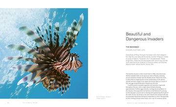 The Ocean Speaks: A photographic journey of discovery and hope