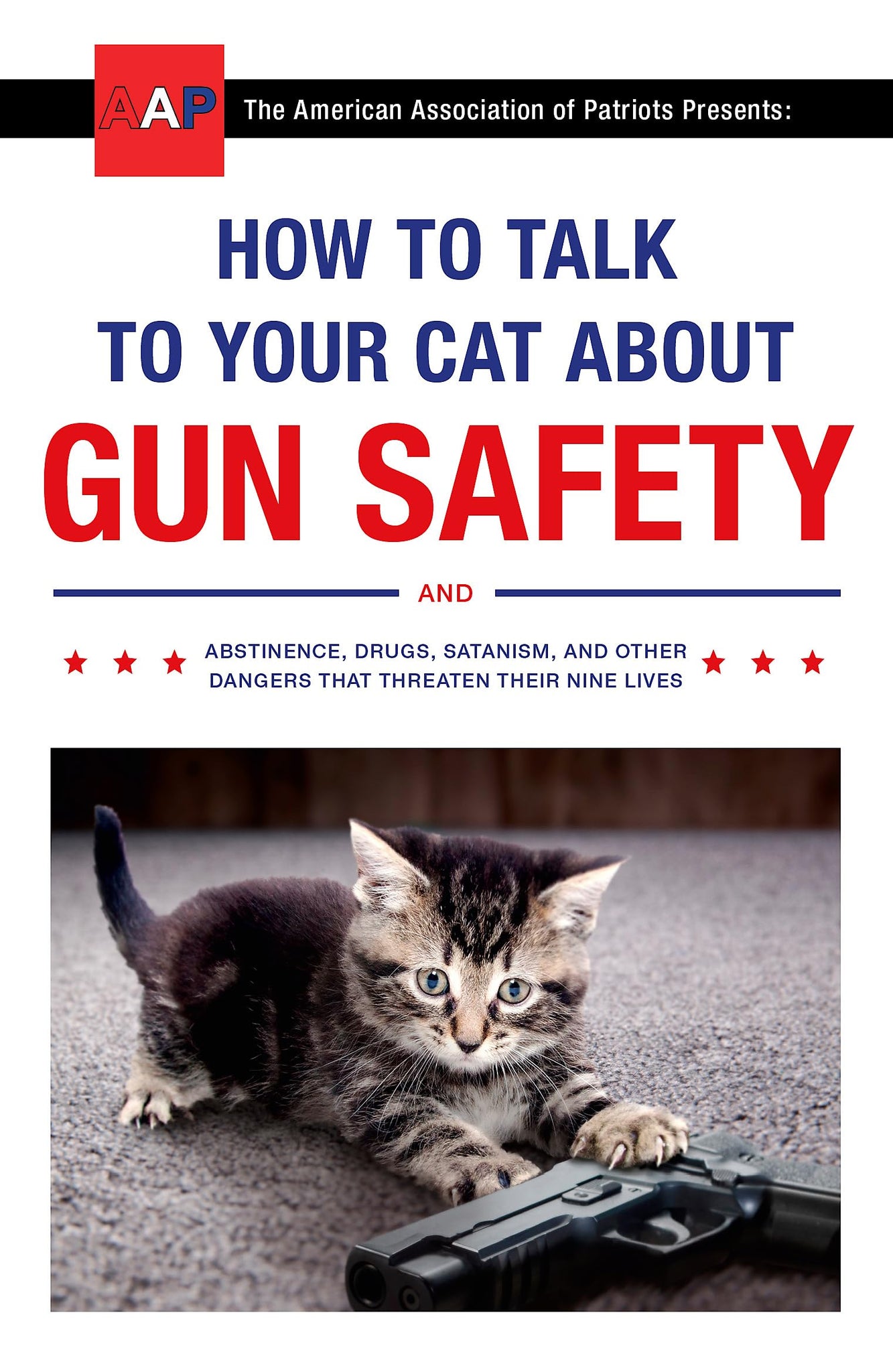 How to Talk to Your Cat About Gun Safety: [Paperback] Auburn, Zachary
