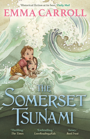 The Somerset Tsunami: [Paperback] Carroll, Emma