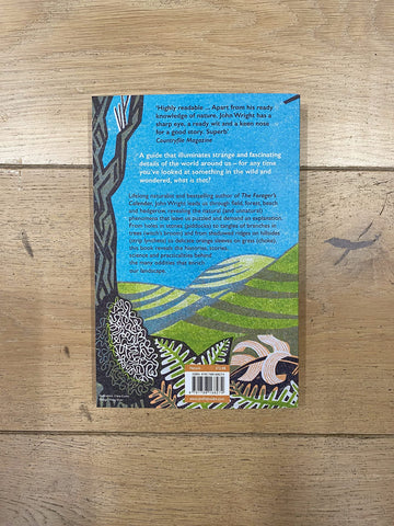 A Spotter's Guide to the Countryside: [Paperback] Wright, John