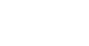 Rexs Online Store